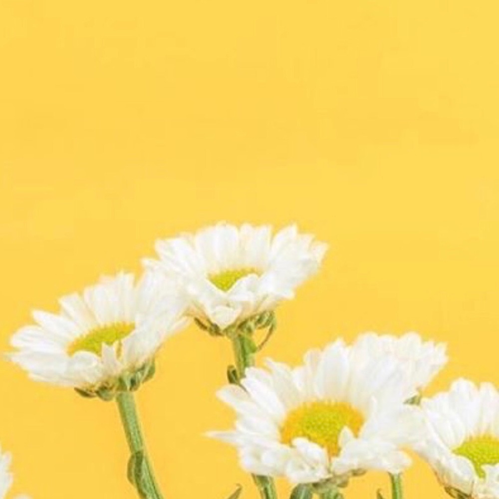 Meet your Posher, Jasmin